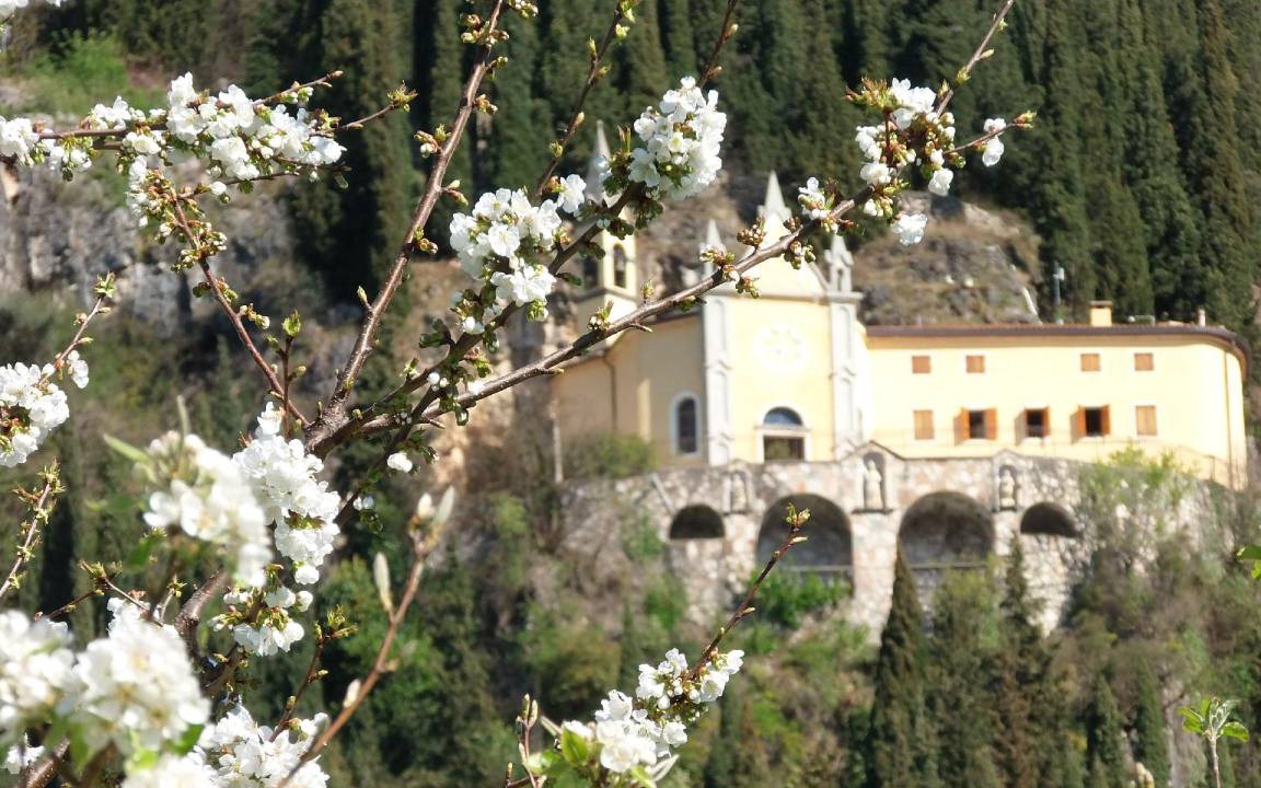 Photo of Others in Gargagnago di Valpolicella