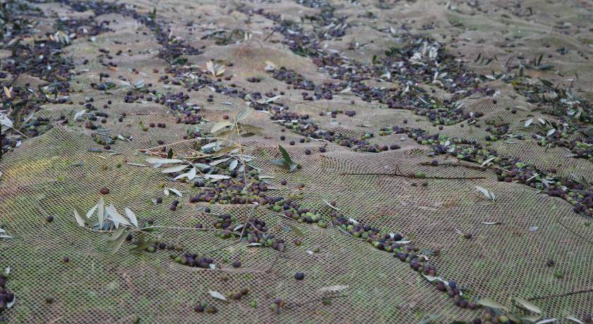 Photo of Others in Volargne