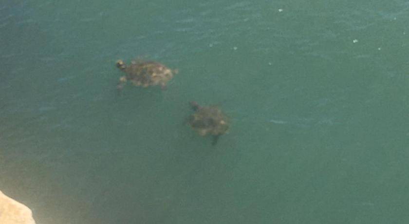 Photo of Others in Costa Verde