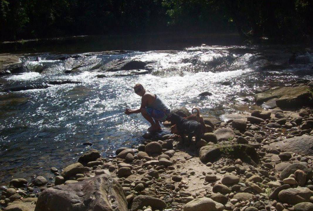 Photo of Others in Cachoeiras de Macacu