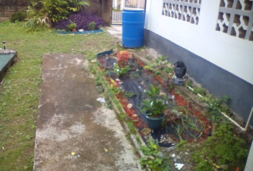Photo of Others in Buff Bay