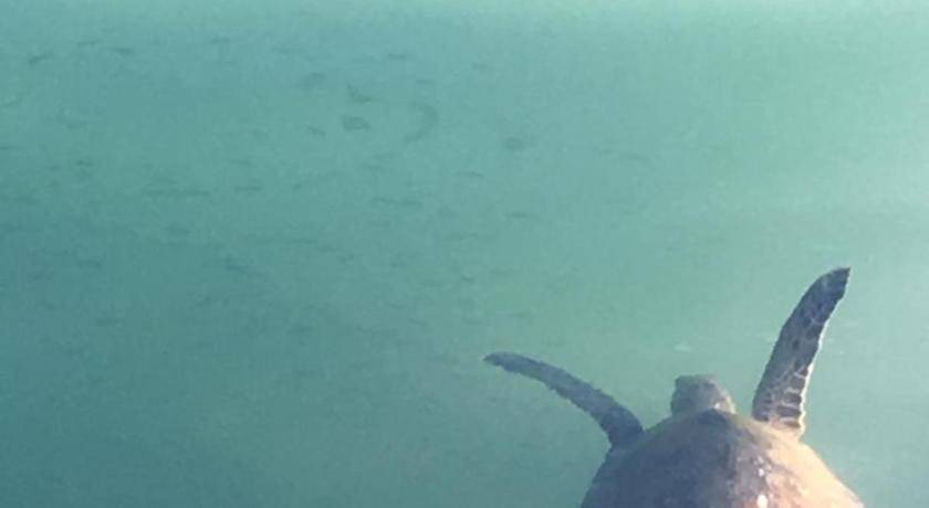 Photo of Others in Costa Verde