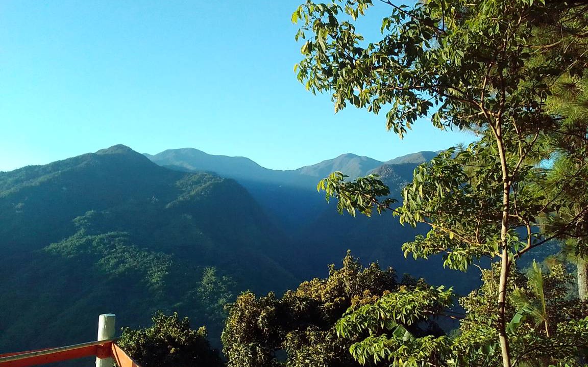 Photo of Others in Blue Mountains National Park