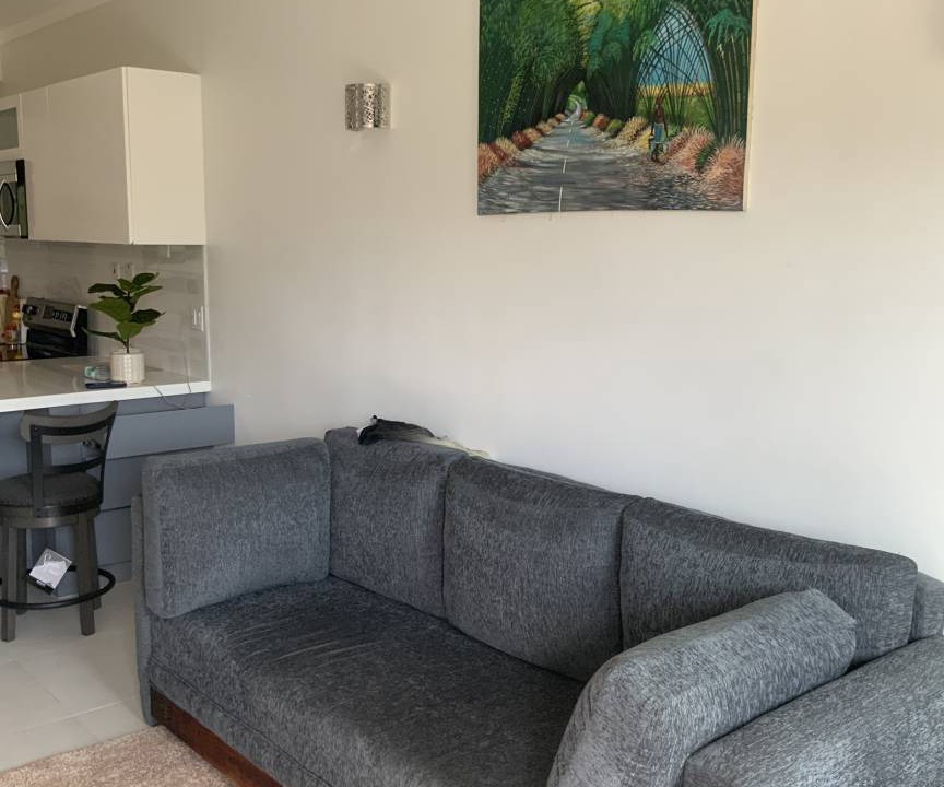 Photo of Livingroom in New Kingston