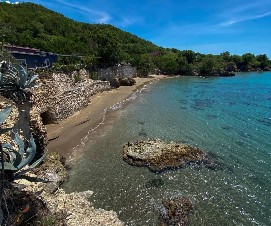 Photo of Others in Treasure Beach