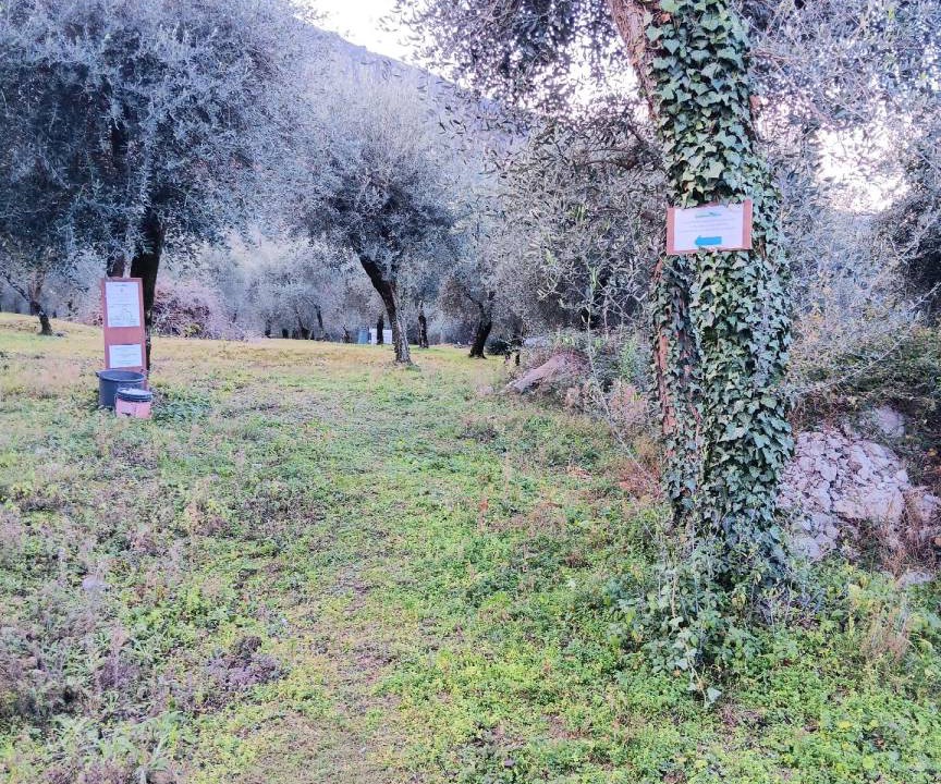 Photo of Outdoor in Assenza