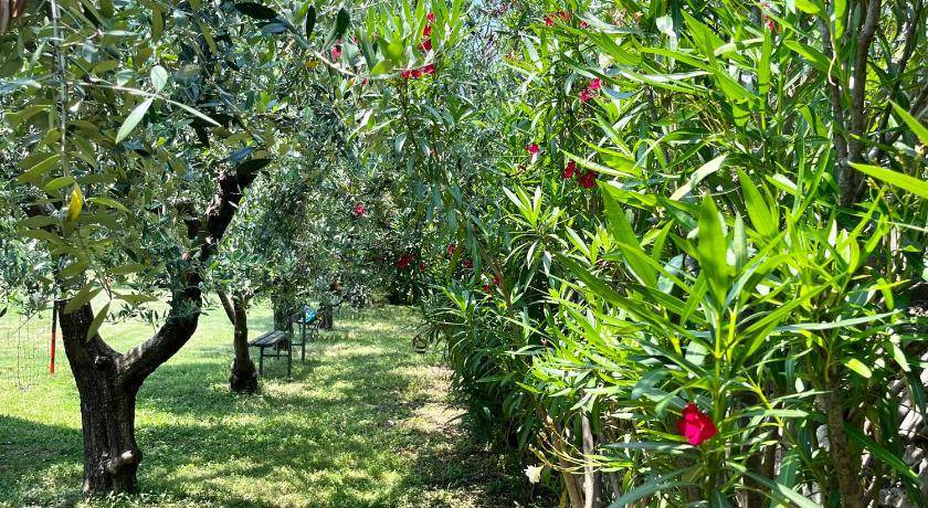 Photo of Others in Gargagnago di Valpolicella