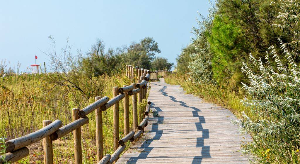 Photo of Others in Jesolo Pineta