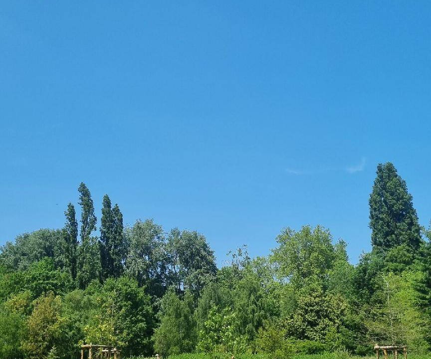 Photo of Others in Sceaux