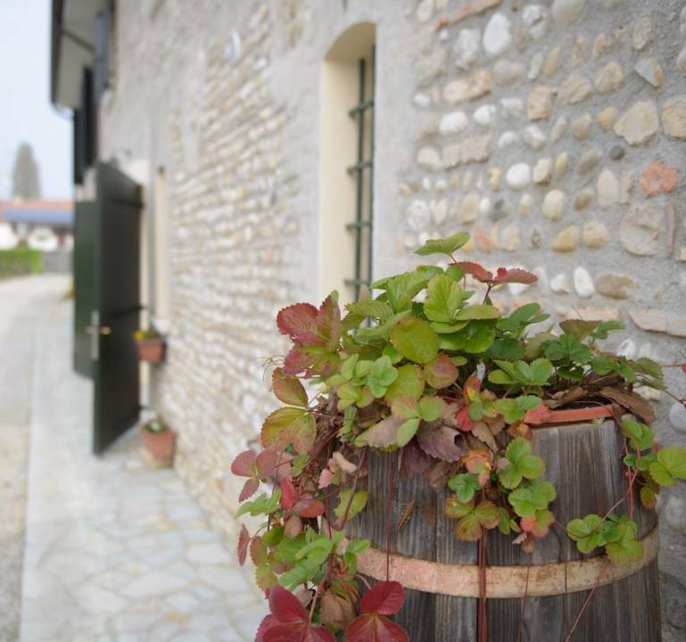 Photo of Others in Codogne
