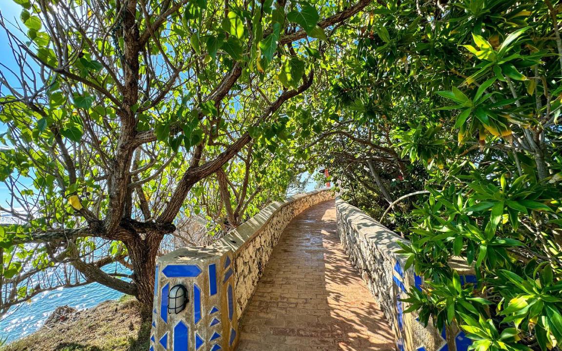 Photo of Others in Treasure Beach