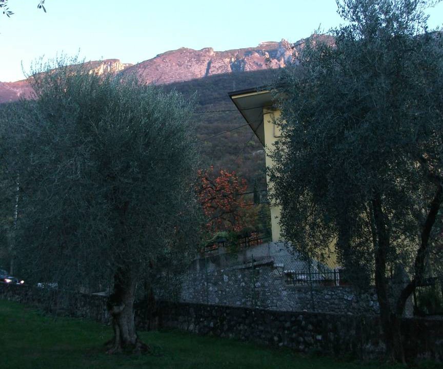 Photo of Others in Malcesine