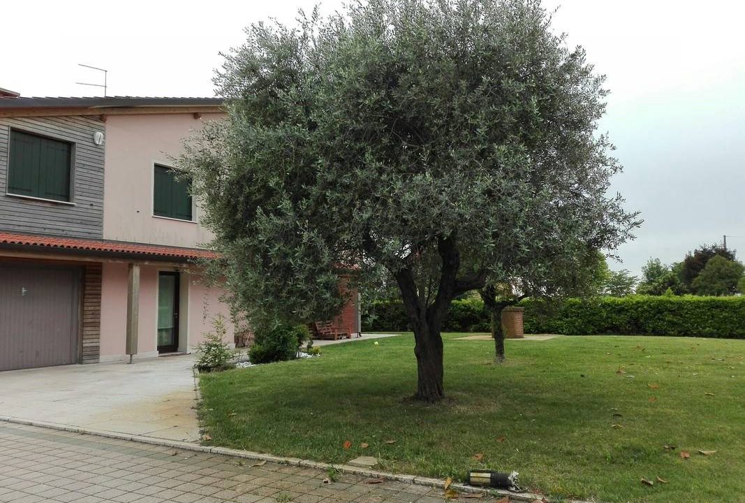 Photo of Others in Albettone