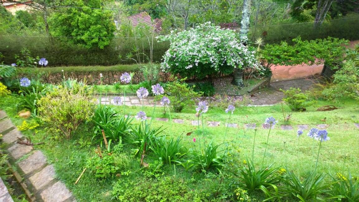 Photo of Others in Teresopolis