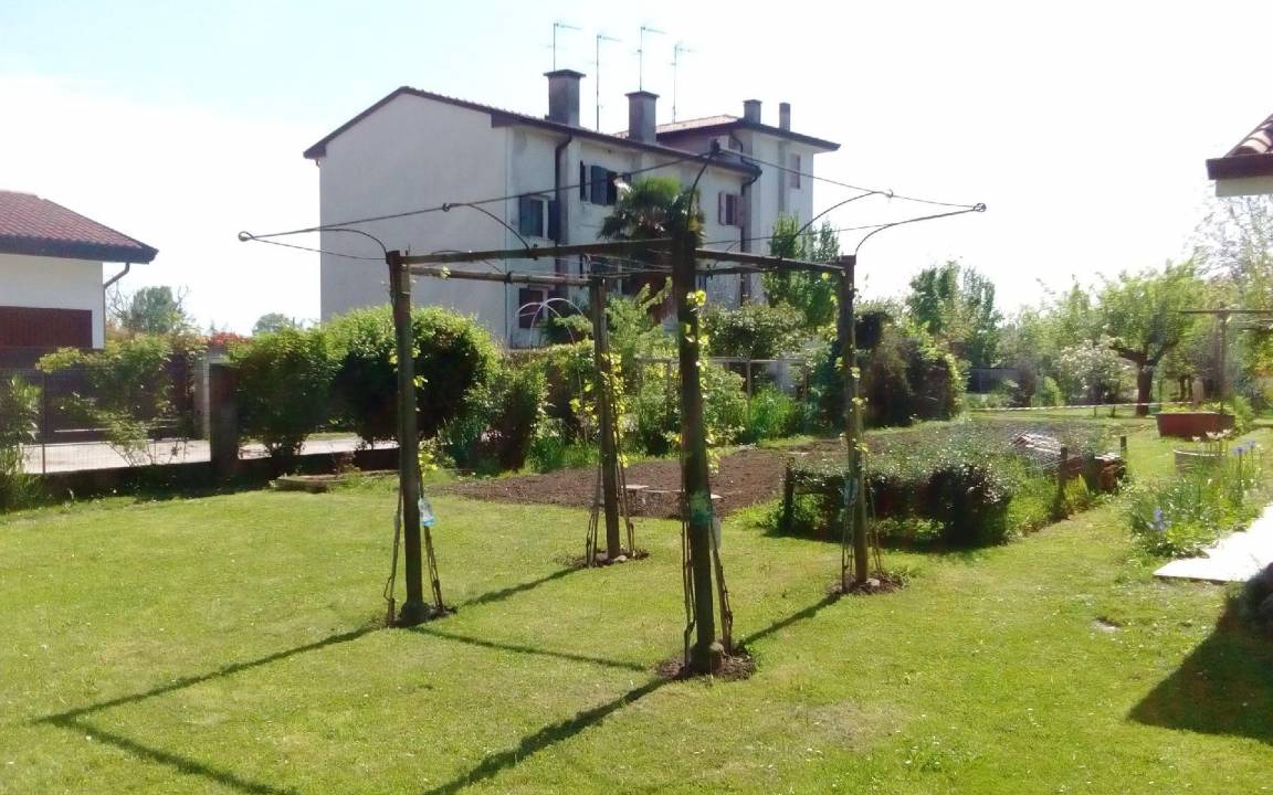 Photo of Others in Noventa di Piave