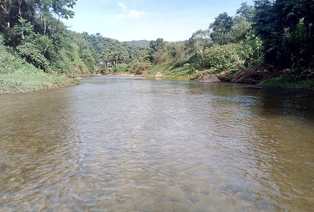 Photo of Others in Ponte Branca