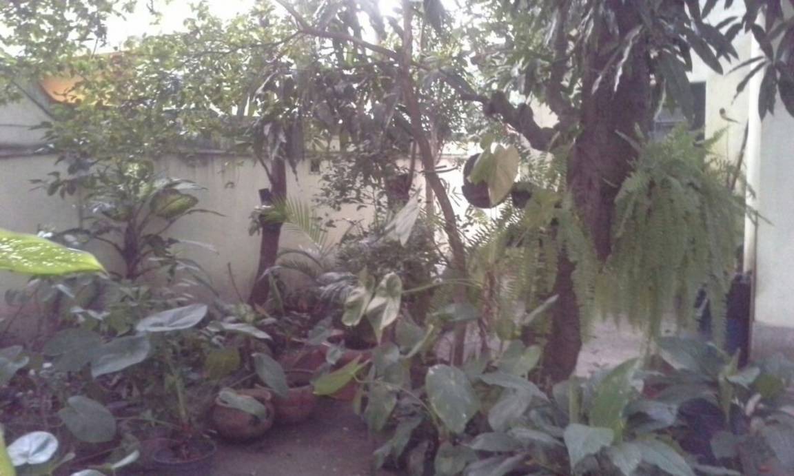 Photo of Others in Gardenia Azul