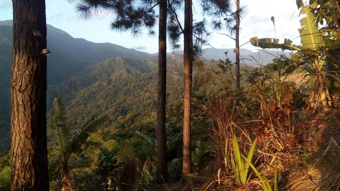 Photo of Others in Blue Mountains National Park