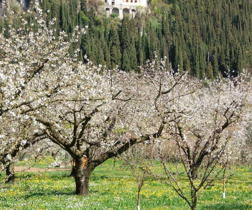 Photo of Others in Gargagnago di Valpolicella