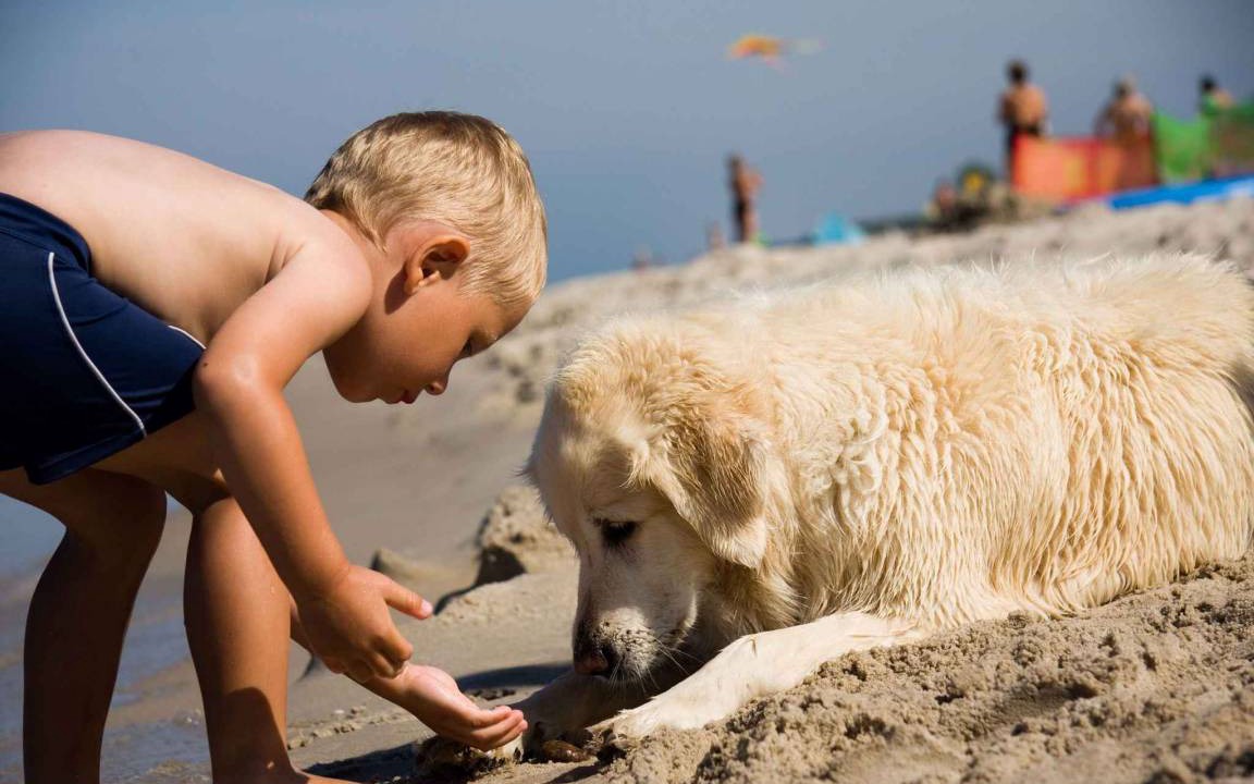 Photo of Others in Bibione Lido dei Pini