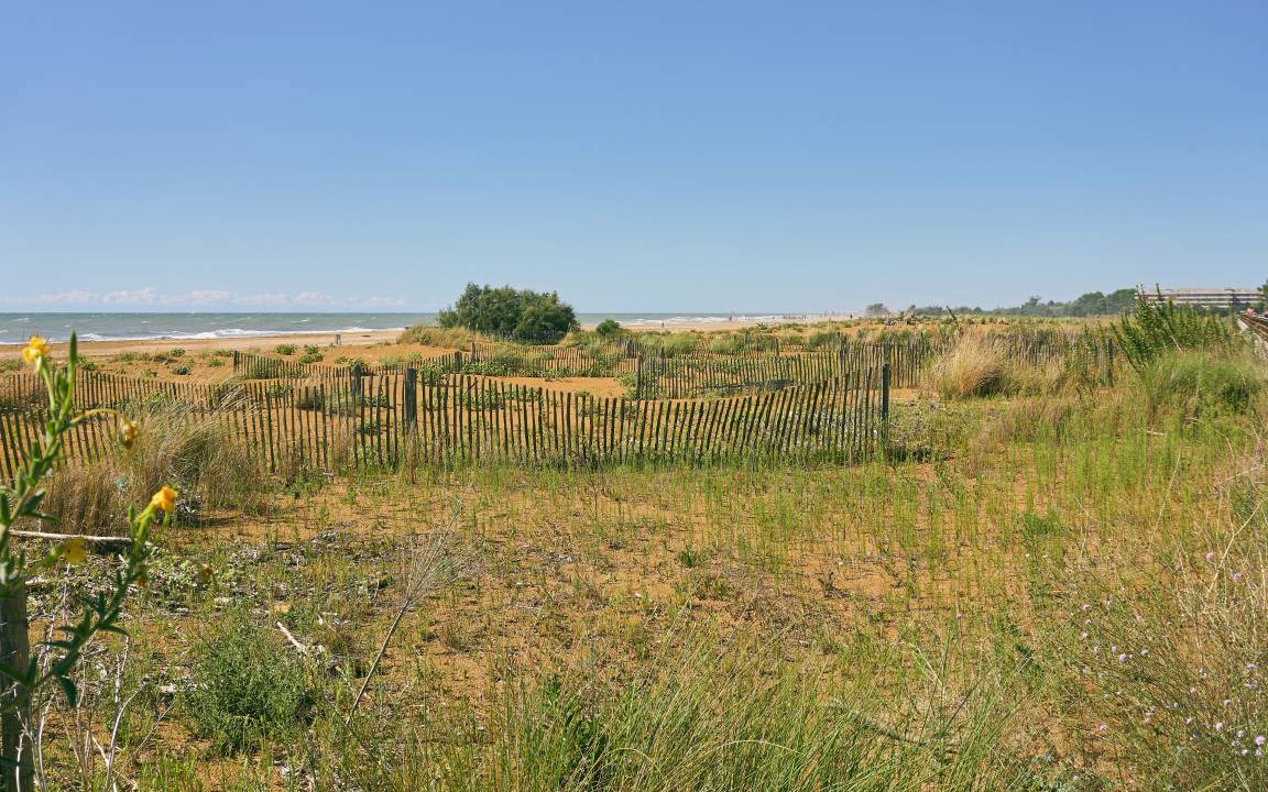 Photo of Others in Bibione