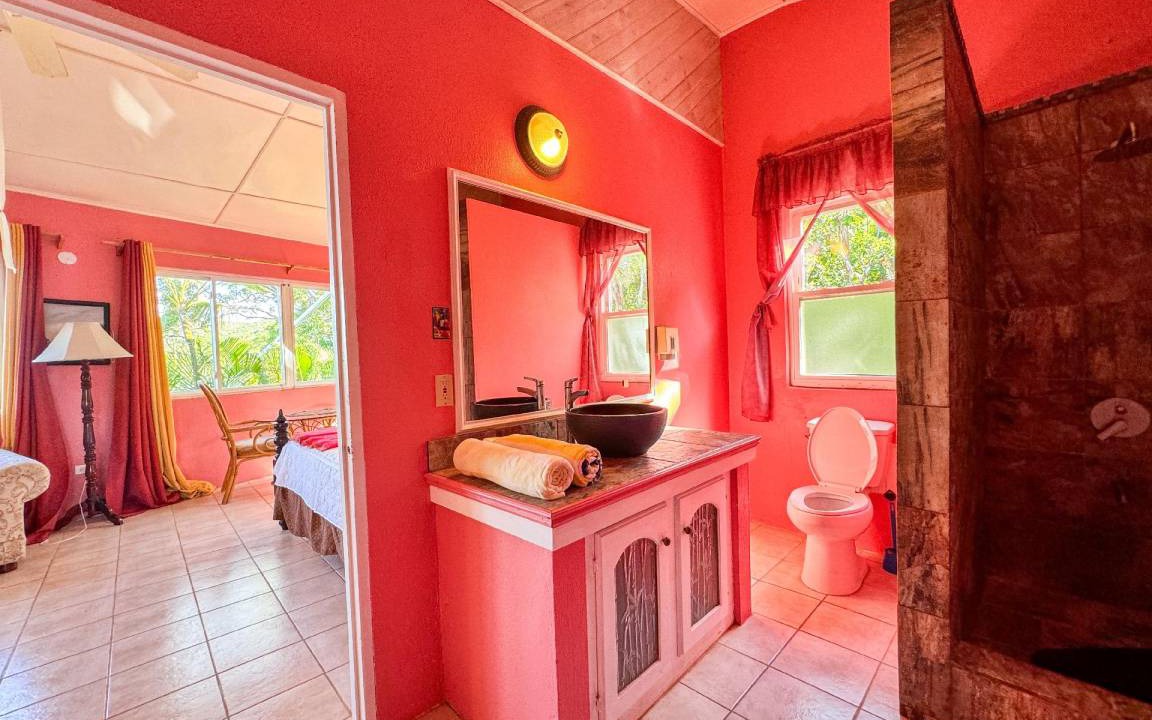 Photo of Bathroom in Treasure Beach