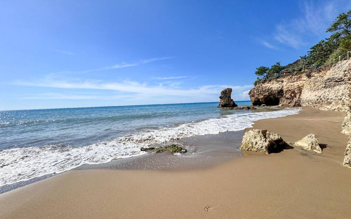 Photo of Others in Treasure Beach