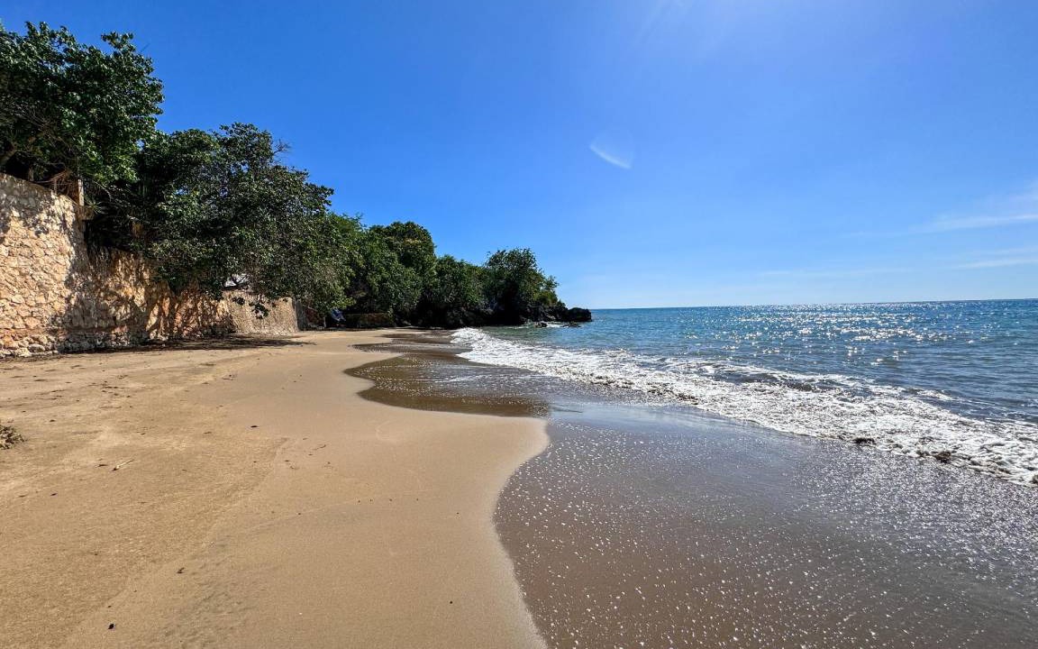 Photo of Others in Treasure Beach