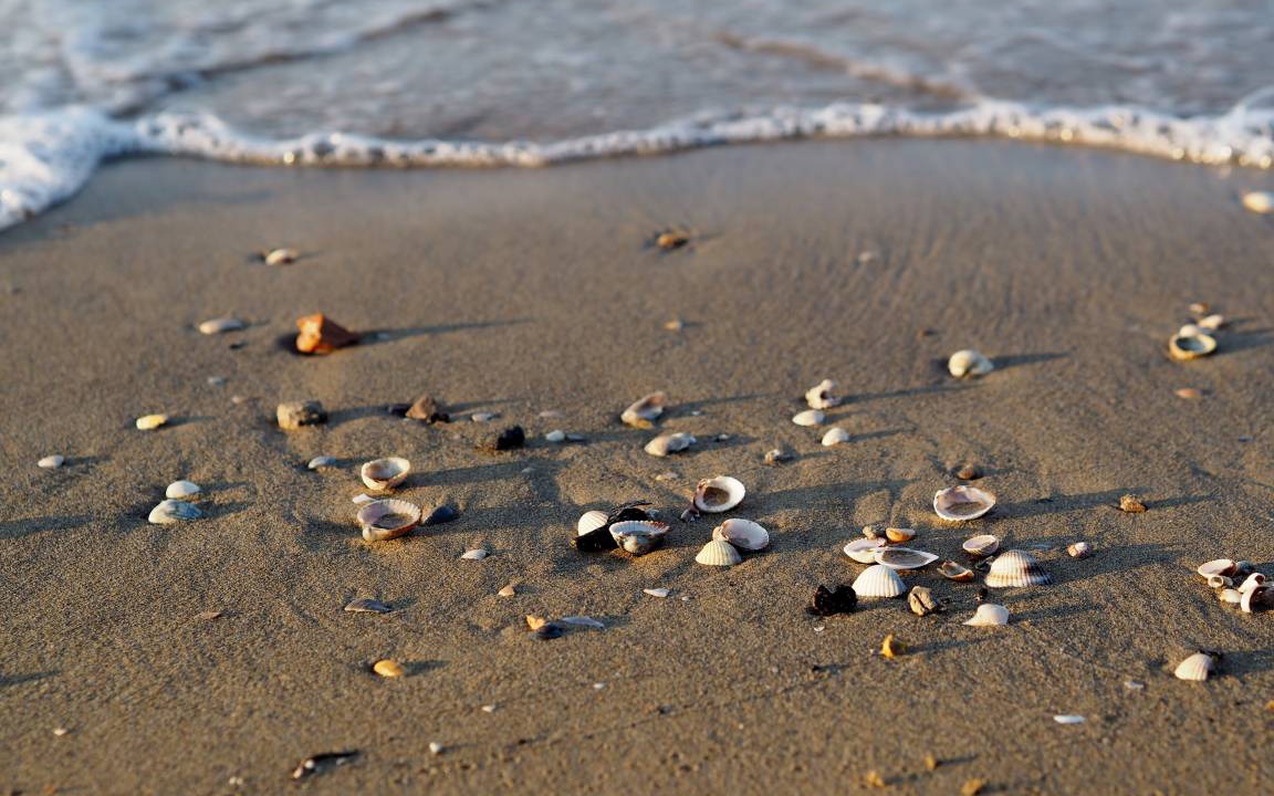 Photo of Others in Bibione