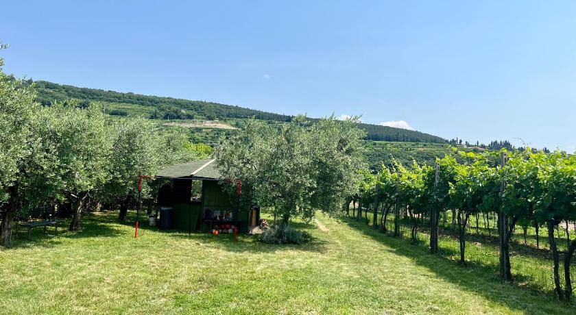 Photo of Others in Gargagnago di Valpolicella