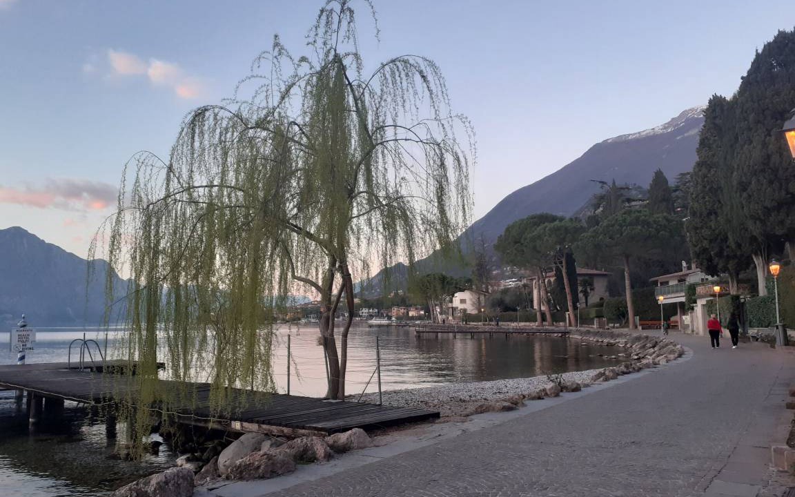 Photo of Others in Malcesine