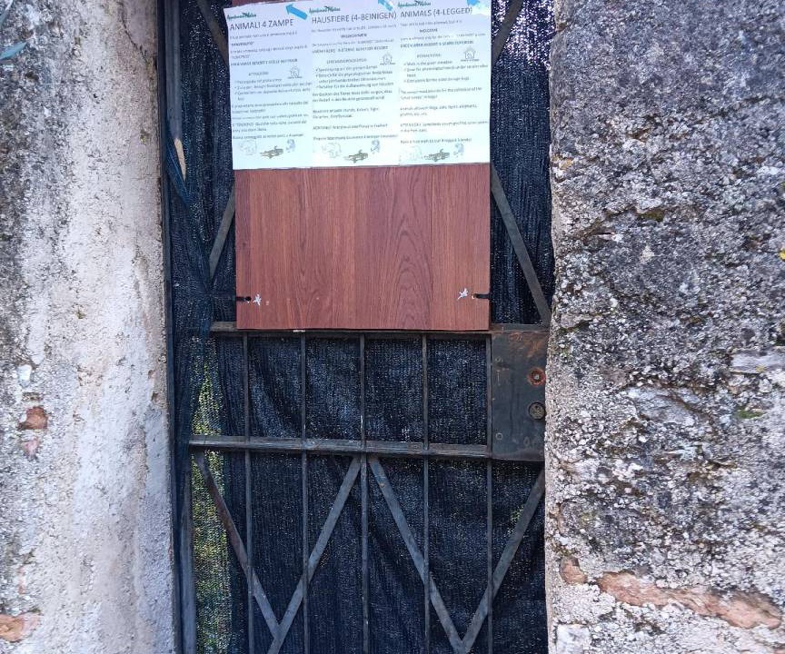 Photo of Others in Assenza