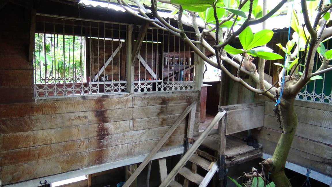 Photo of Others in Port Antonio