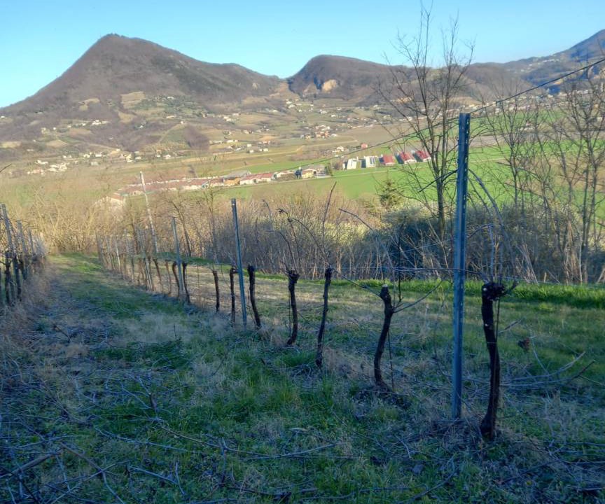 Photo of Others in Albettone