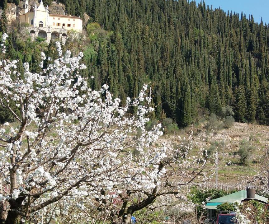 Photo of Others in Gargagnago di Valpolicella
