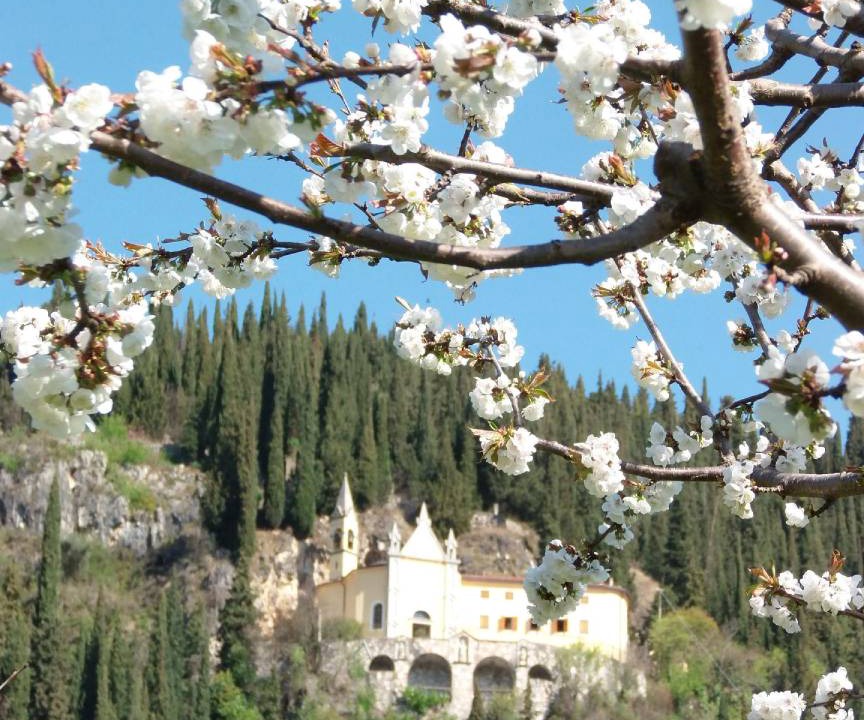 Photo of Others in Gargagnago di Valpolicella