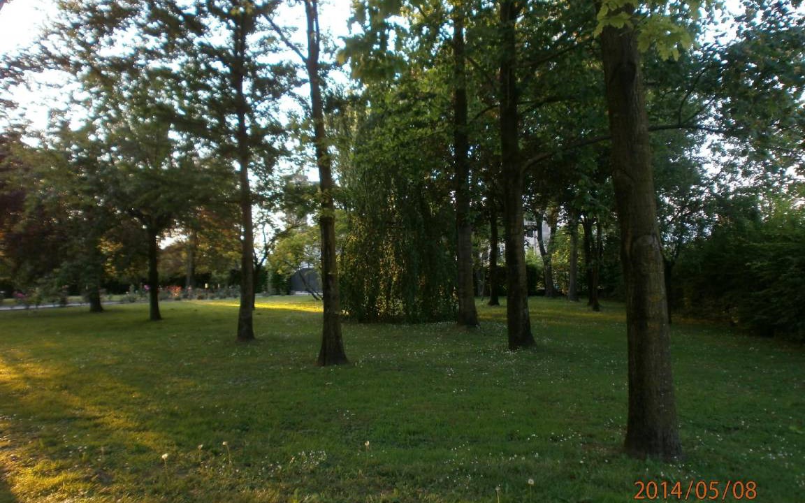 Photo of Others in Codogne