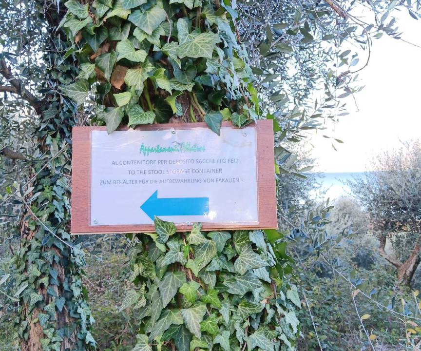 Photo of Outdoor in Assenza