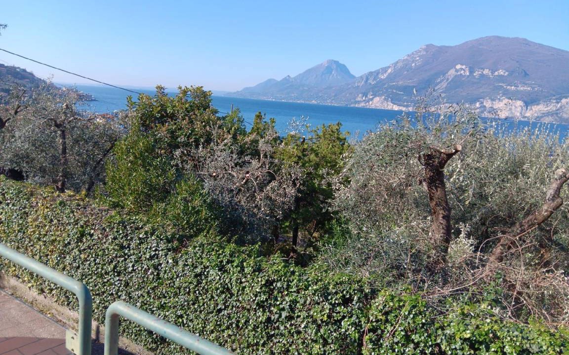 Photo of Others in Assenza