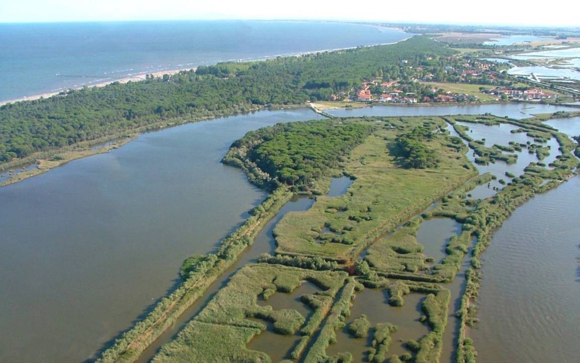 Photo of Others in Rosolina Mare