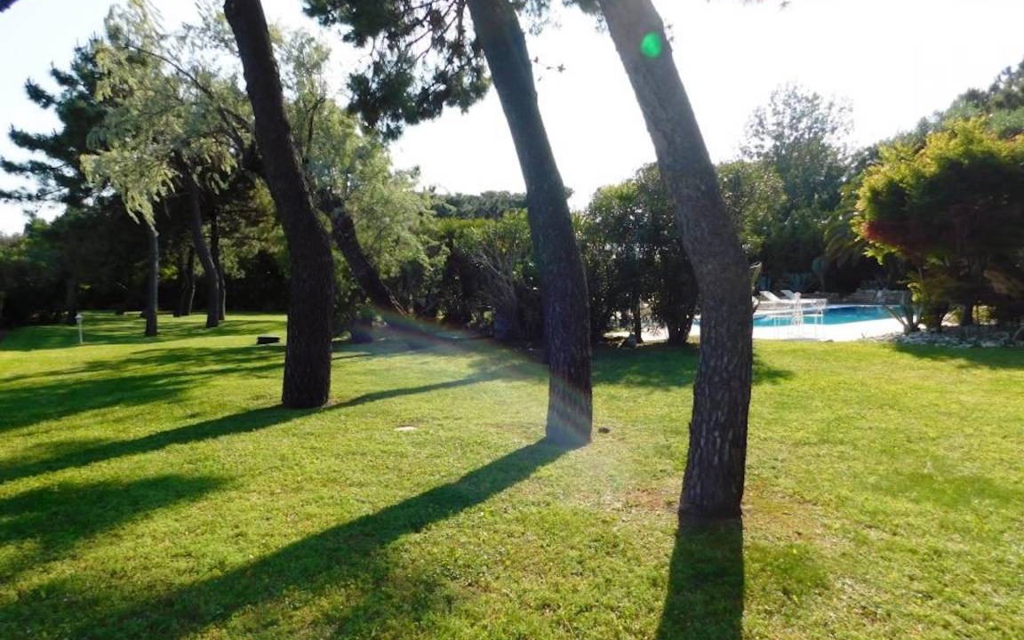 Photo of Others in Isola Albarella