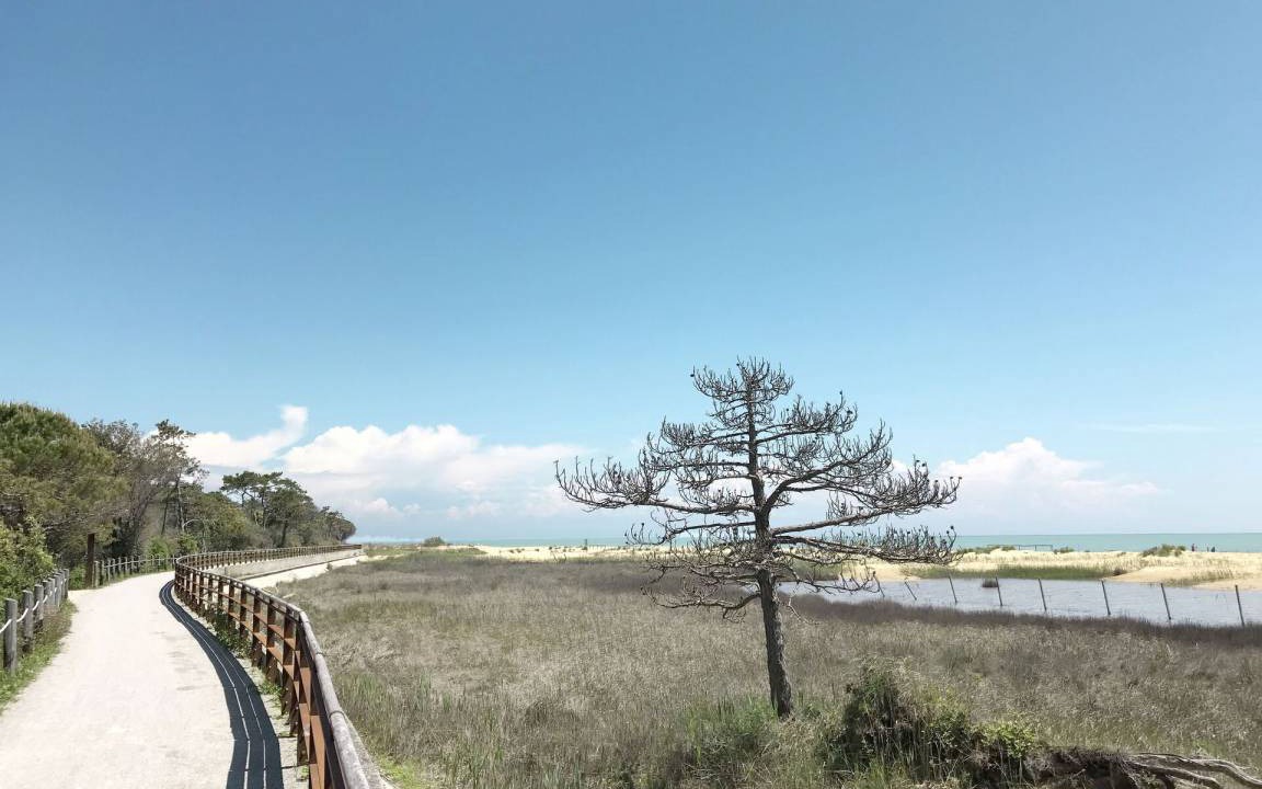 Photo of Others in Bibione