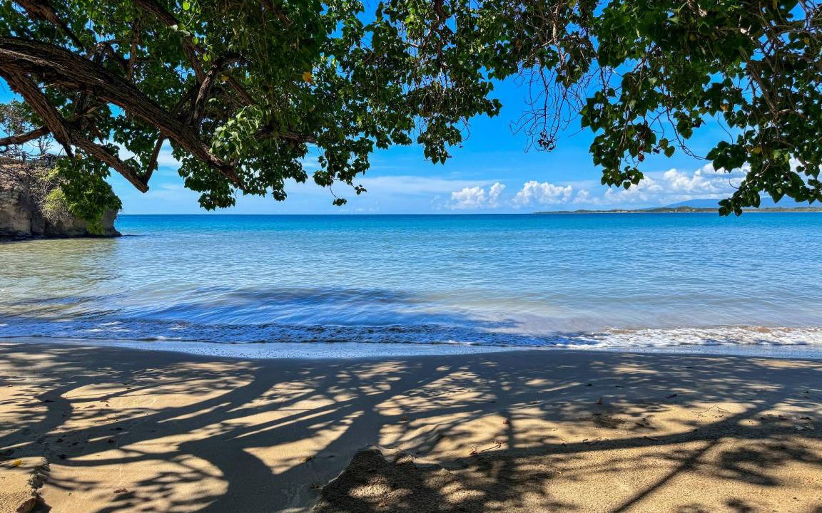 Photo of Others in Treasure Beach