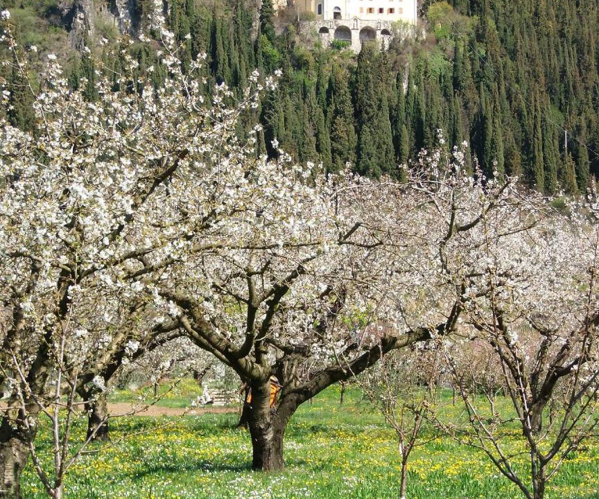 Photo of Others in Gargagnago di Valpolicella