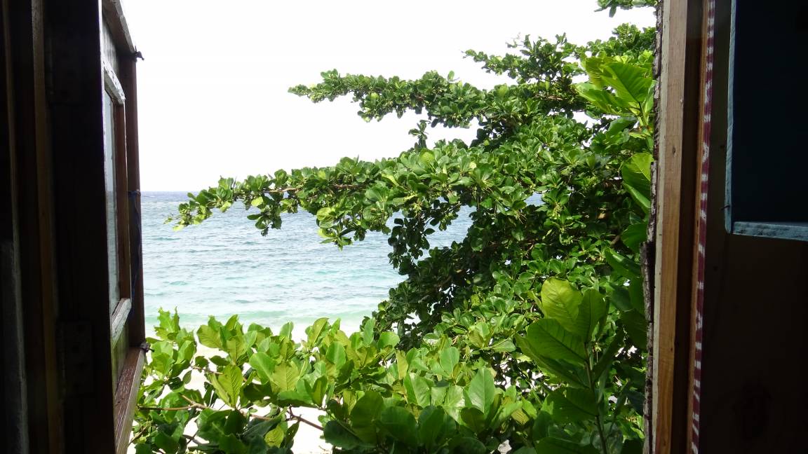 Photo of Others in Port Antonio