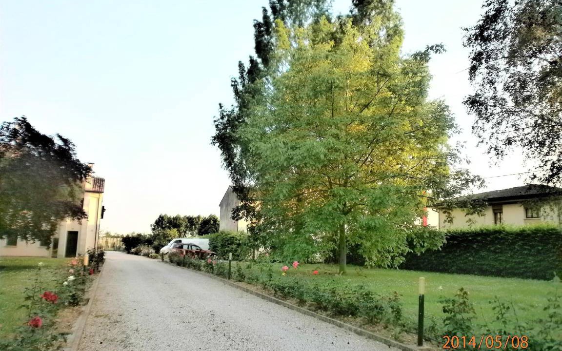 Photo of Others in Codogne