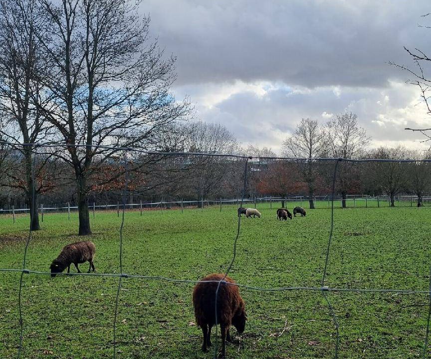 Photo of Others in Sceaux