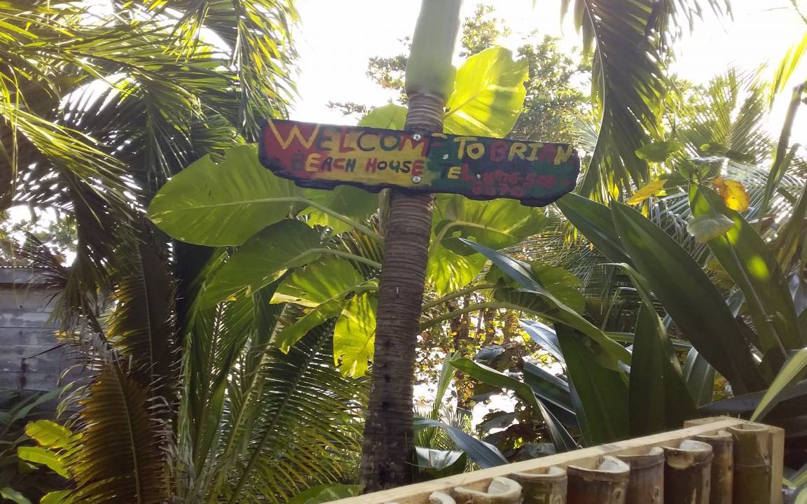 Photo of Others in Port Antonio