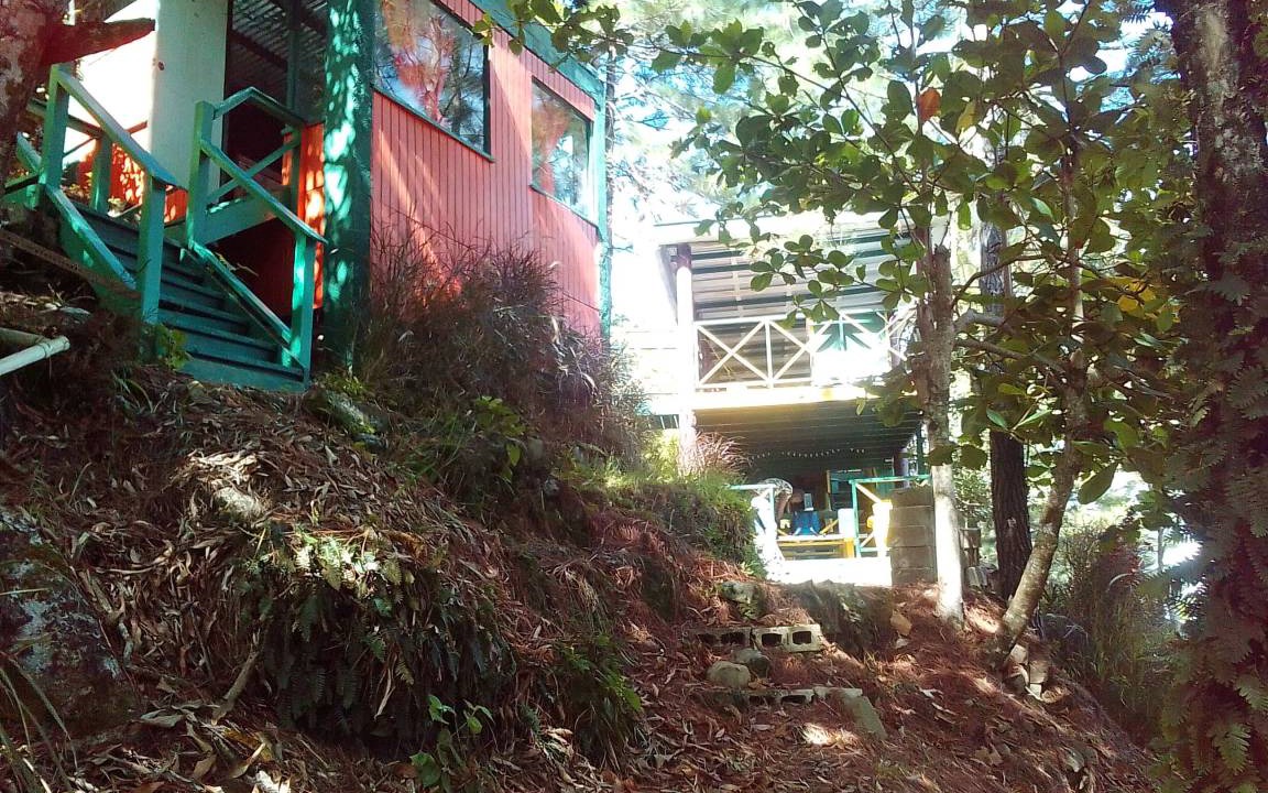 Photo of Others in Blue Mountains National Park