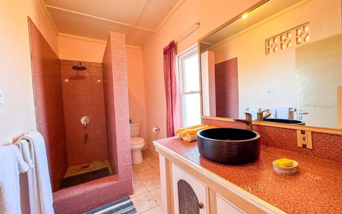 Photo of Bathroom in Treasure Beach